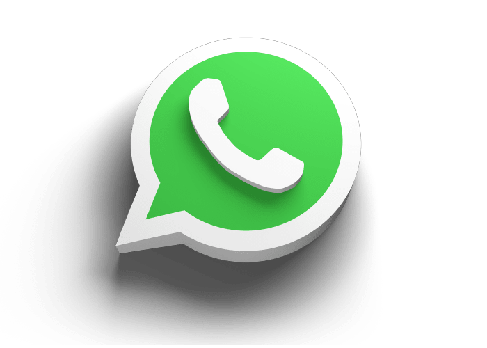 DS WhatsApp Connection